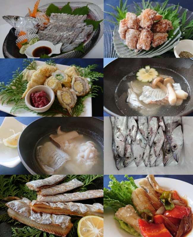 ねーさんクッキング 太刀魚料理いろいろ ハヤブサlady 隼華 Hayaka