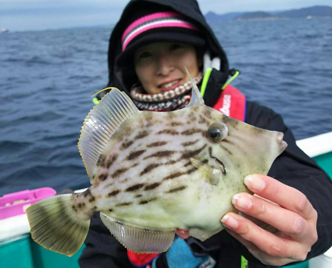 日ノ岬沖のカワハギは低水温期で我慢です ハヤブサlady 隼華 Hayaka