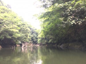 亀山湖　ジャングルクルーズ