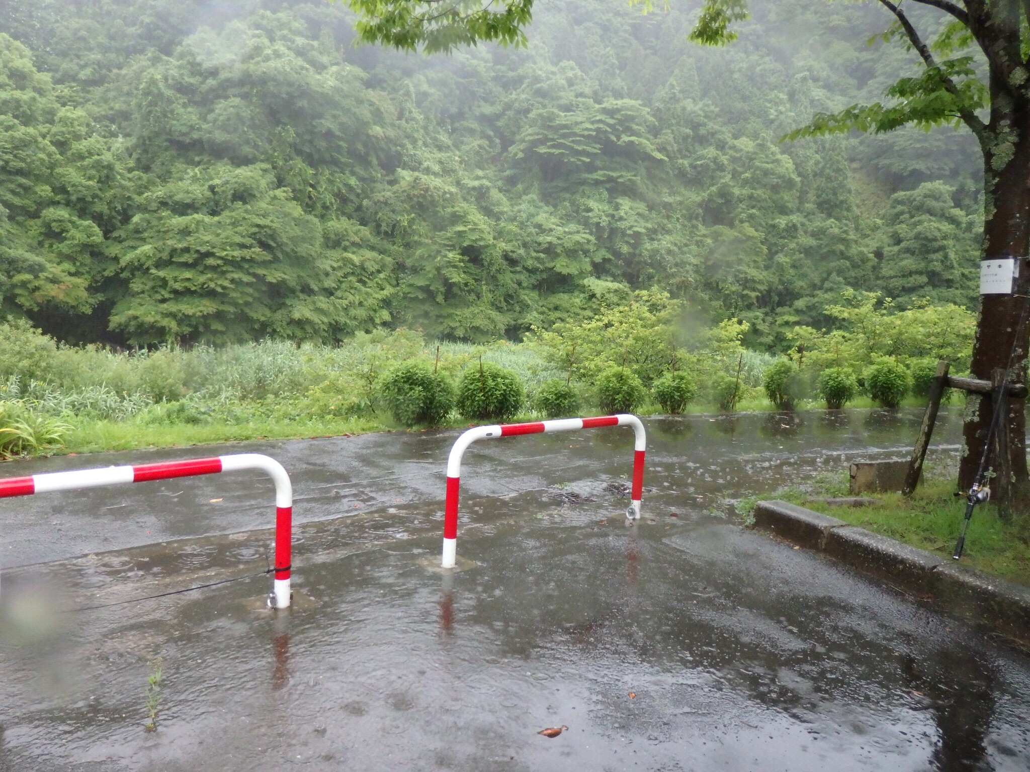亀山 湖 天気