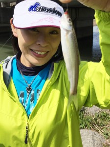 琵琶湖 ホンモロコ釣り q ハヤブサlady 隼華 Hayaka