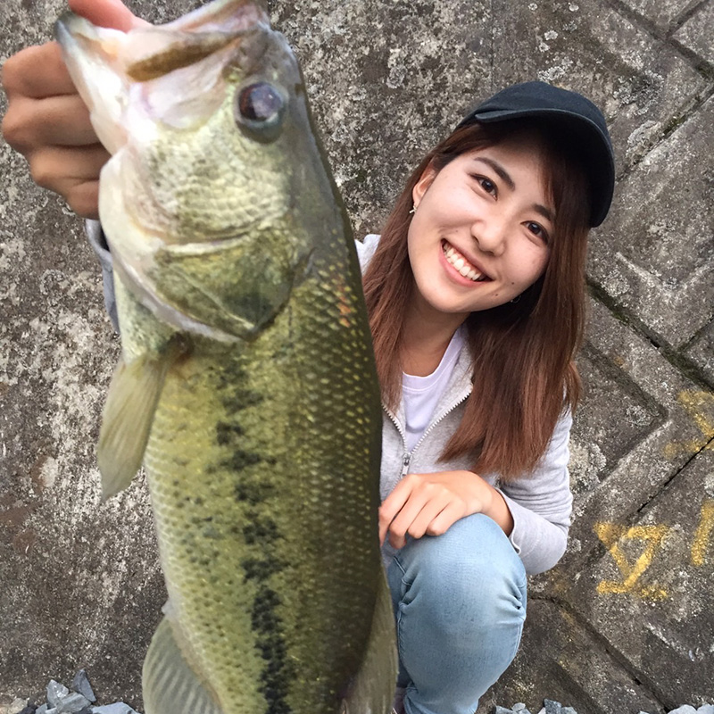 ハヤブサLady 杠 海里