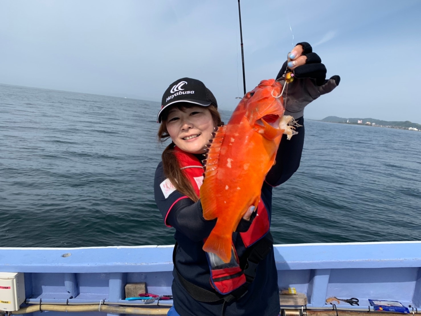 南房総乙浜でロックフィッシュ♬根魚が初めてでもアカハタを釣っちゃ