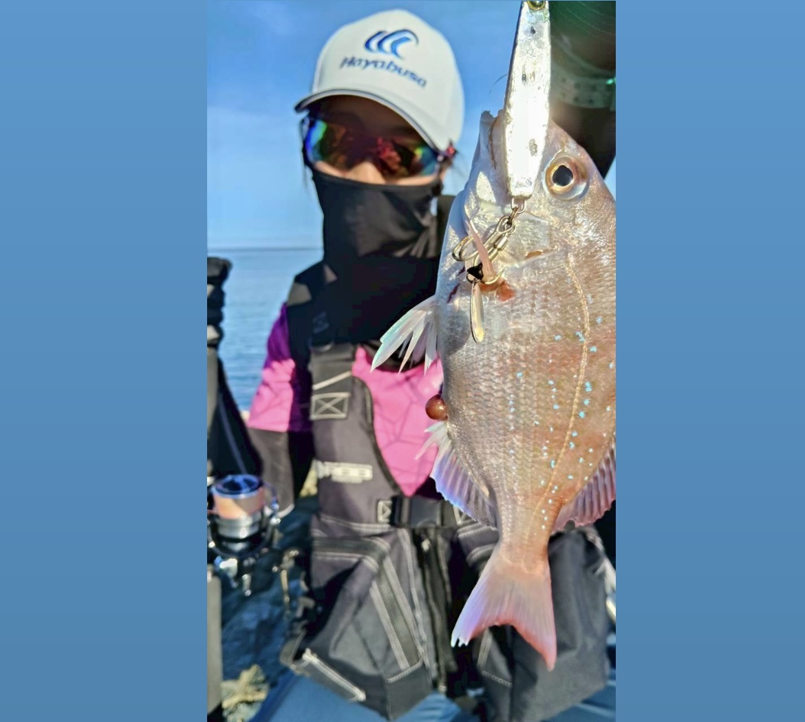🎣朝マヅメの地磯釣行でまさかの真鯛‼️ | ハヤブサLady 隼華-HAYAKA-