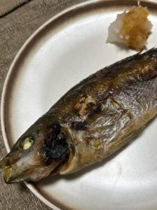 イサキ