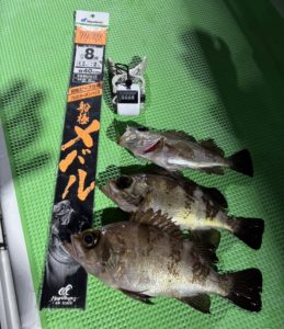 メバル