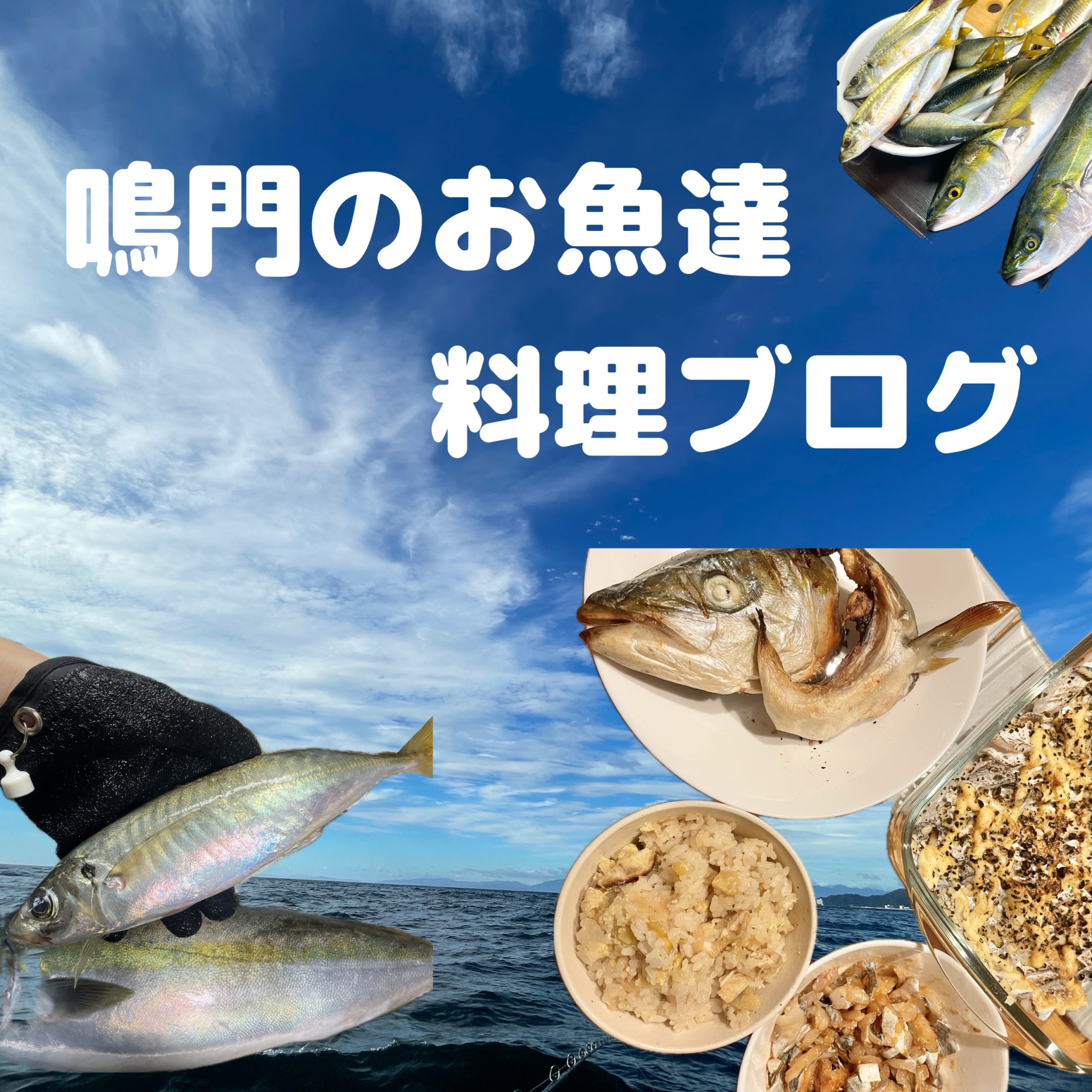 空🛩️鳴門のお魚たち | ハヤブサLady 隼華-HAYAKA-