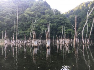 千葉県片倉ダム