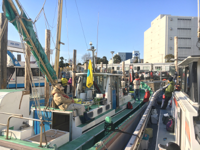 江戸前釣り大会 カレイ釣り2018
