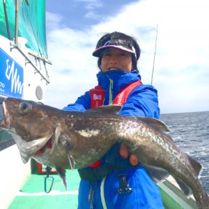 金華山沖　タラ　ジギング　ハヤブサ　ジャックアイフリーズ