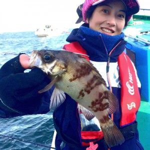 メバル　東京湾　エビメバル　ハヤブサ　隼華