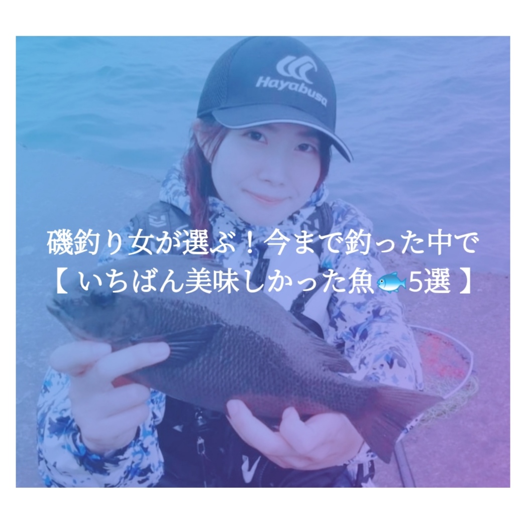 磯釣り女が選ぶ 今まで釣った中で いちばん美味しかった魚 5選 ハヤブサlady 隼華 Hayaka